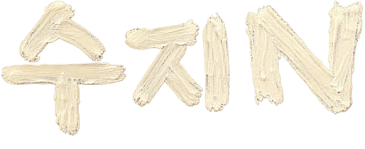 수지N